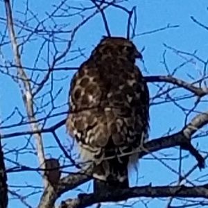 Meet your Posher, Jan